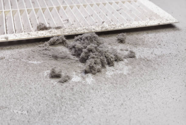 Best Air Duct Cleaning Near Me  in Paloma Creek, TX