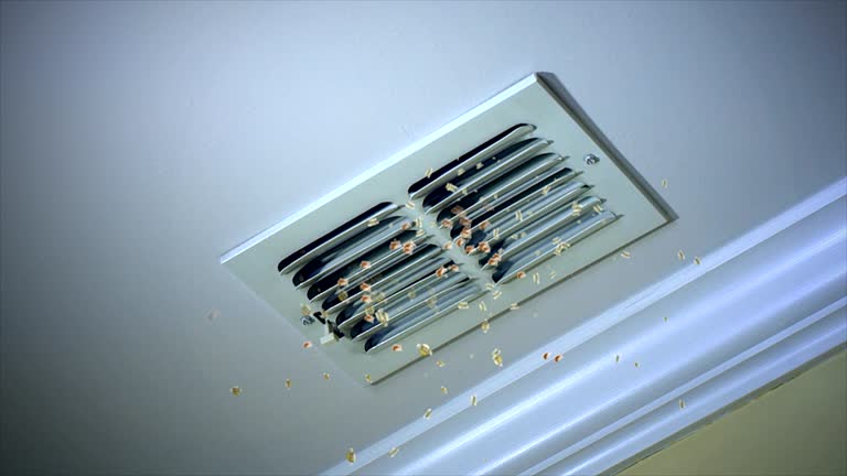 Best Affordable Air Duct Cleaning  in Paloma Creek, TX
