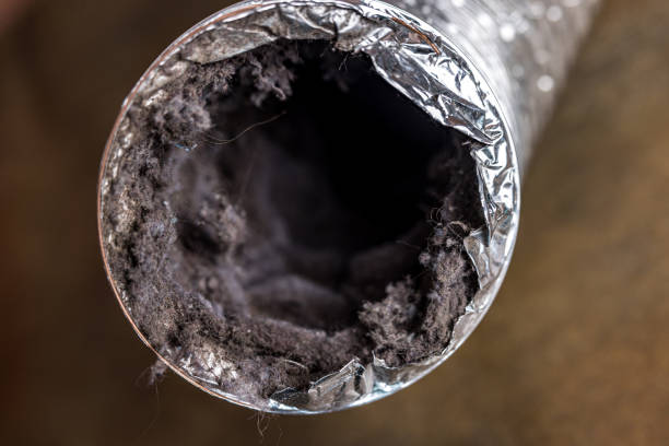 Best Home Air Vent Cleaning  in Paloma Creek, TX