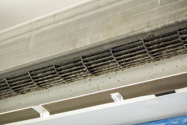 Best HVAC Maintenance and Cleaning  in Paloma Creek, TX