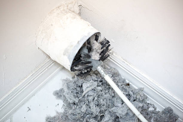 Best Commercial HVAC Duct Cleaning  in Paloma Creek, TX